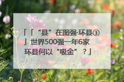 「“县”在图强·环县③」世界500强一年6家 环县何以“吸金”？