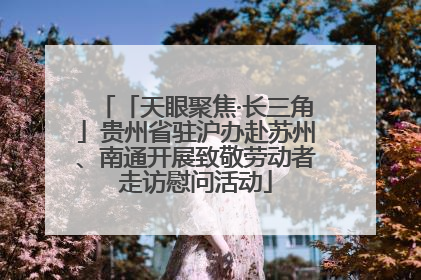 「天眼聚焦·长三角」贵州省驻沪办赴苏州、南通开展致敬劳动者走访慰问活动