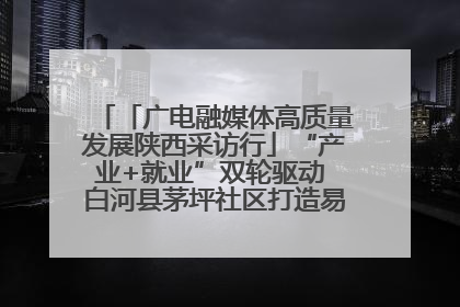 「广电融媒体高质量发展陕西采访行」“产业+就业”双轮驱动 白河县茅坪社区打造易地搬迁后扶新样本