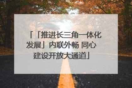 「推进长三角一体化发展」内联外畅 同心建设开放大通道