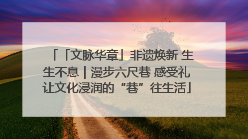 「文脉华章」非遗焕新 生生不息｜漫步六尺巷 感受礼让文化浸润的“巷”往生活