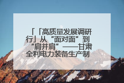 「高质量发展调研行」从“面对面”到“肩并肩”——甘肃全利电力装备生产制造项目一线见闻