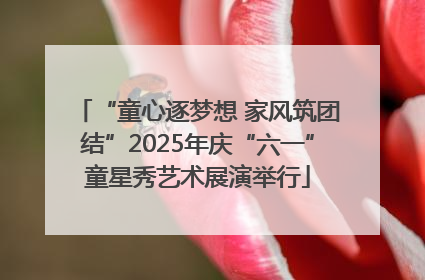 “童心逐梦想 家风筑团结”2025年庆“六一”童星秀艺术展演举行