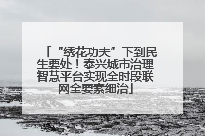 “绣花功夫”下到民生要处！泰兴城市治理智慧平台实现全时段联网全要素细治