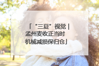 “三夏”视觉｜孟州麦收正当时 机械减损保归仓