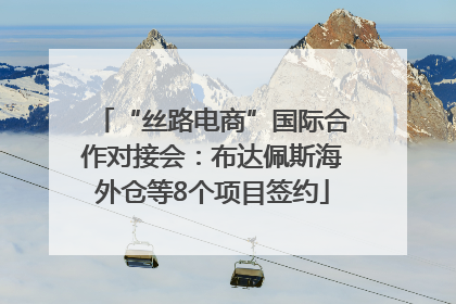 “丝路电商”国际合作对接会：布达佩斯海外仓等8个项目签约
