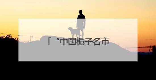 “中国栀子名市”福建福鼎：栀子花开，产业兴旺
