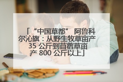 “中国草都” 阿鲁科尔沁旗：从野生牧草亩产 35 公斤到苜蓿草亩产 800 公斤以上
