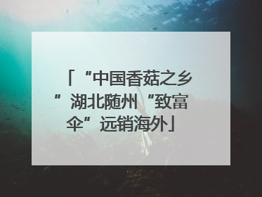 “中国香菇之乡”湖北随州“致富伞”远销海外