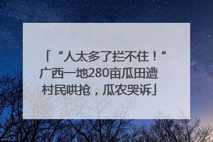 “人太多了拦不住！”广西一地280亩瓜田遭村民哄抢，瓜农哭诉