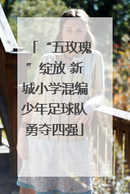 “五玫瑰”绽放 新城小学混编少年足球队勇夺四强