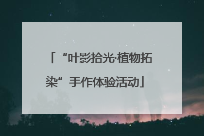 “叶影拾光·植物拓染”手作体验活动