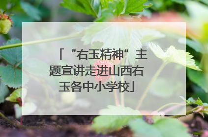 “右玉精神”主题宣讲走进山西右玉各中小学校