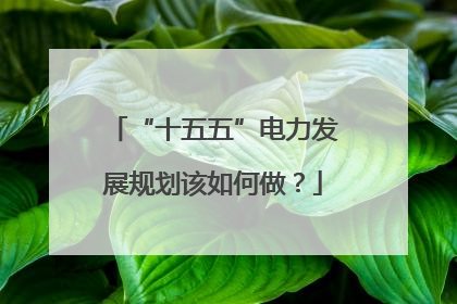 “十五五”电力发展规划该如何做？