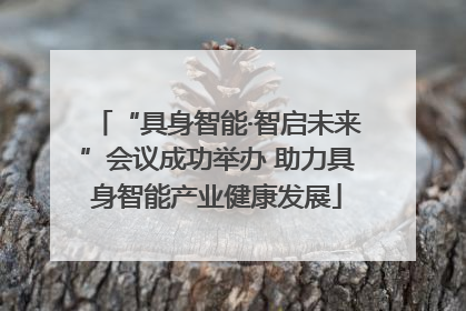 “具身智能·智启未来”会议成功举办 助力具身智能产业健康发展