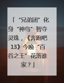 “兄弟团”化身“神鸟”智夺灵珠，《奔跑吧13》今晚“百谷之王”花落谁家？