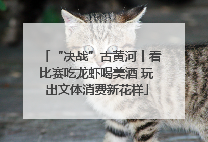 “决战”古黄河丨看比赛吃龙虾喝美酒 玩出文体消费新花样
