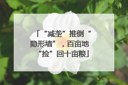 “减垄”推倒“隐形墙”，百亩地“捡”回十亩粮