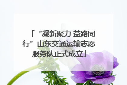 “凝新聚力 益路同行”山东交通运输志愿服务队正式成立