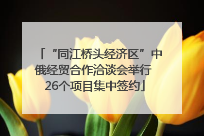 “同江桥头经济区”中俄经贸合作洽谈会举行 26个项目集中签约