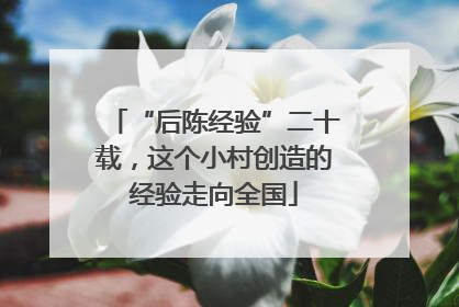 “后陈经验”二十载，这个小村创造的经验走向全国