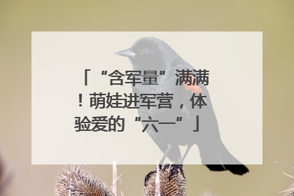 “含军量”满满！萌娃进军营，体验爱的“六一”