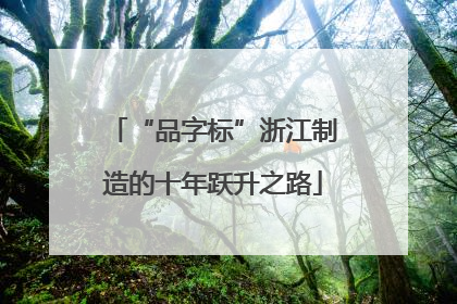 “品字标”浙江制造的十年跃升之路