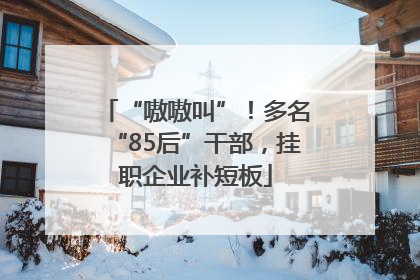 “嗷嗷叫”！多名“85后”干部，挂职企业补短板