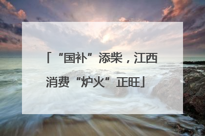 “国补”添柴，江西消费“炉火”正旺