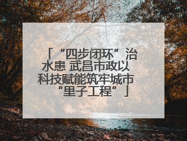 “四步闭环”治水患 武昌市政以科技赋能筑牢城市“里子工程”