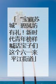 “宝藏苏城”碧凤坊有礼！新时代青年榜样喊话宝子们这个六一来平江街道