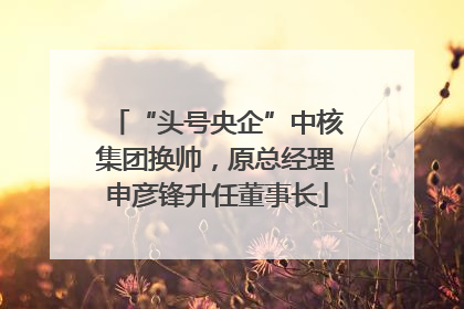 “头号央企”中核集团换帅，原总经理申彦锋升任董事长