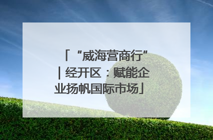 “威海营商行”｜经开区：赋能企业扬帆国际市场