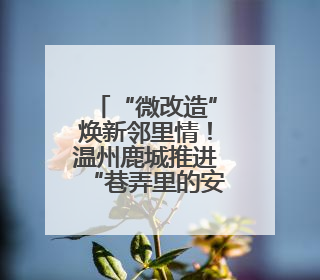 “微改造”焕新邻里情！温州鹿城推进“巷弄里的安居计划”