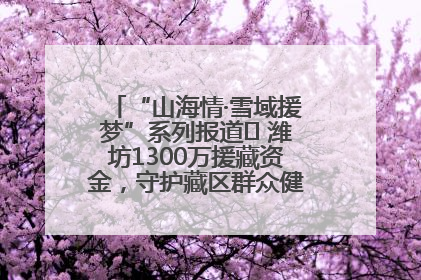“山海情·雪域援梦”系列报道⑪ 潍坊1300万援藏资金，守护藏区群众健康“最后一公里”