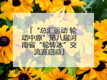 “总汇运动 轮动中原”第八届河南省“轮转冰”交流赛启幕