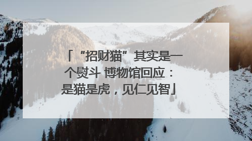 “招财猫”其实是一个熨斗 博物馆回应：是猫是虎，见仁见智