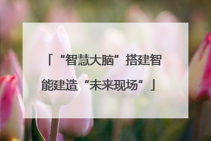 “智慧大脑”搭建智能建造“未来现场”
