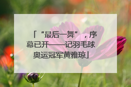 “最后一舞”，序幕已开——记羽毛球奥运冠军黄雅琼