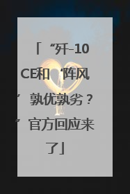 “歼-10CE和‘阵风’孰优孰劣？”官方回应来了