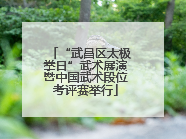 “武昌区太极拳日”武术展演暨中国武术段位考评赛举行