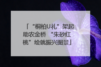 “桐柏U礼”架起助农金桥 “朱砂红桃”绘就振兴图景
