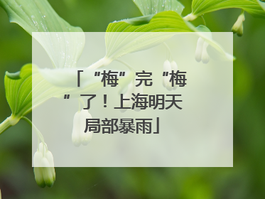 “梅”完“梅”了！上海明天局部暴雨