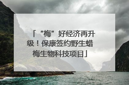 “梅”好经济再升级！保康签约野生蜡梅生物科技项目