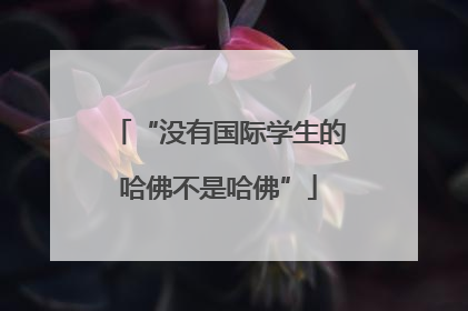 “没有国际学生的哈佛不是哈佛”