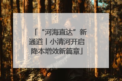 “河海直达”新通道丨小清河开启降本增效新篇章