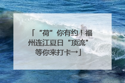 “荷”你有约！福州连江夏日“顶流”等你来打卡→