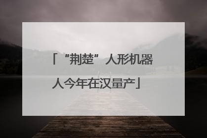 “荆楚”人形机器人今年在汉量产