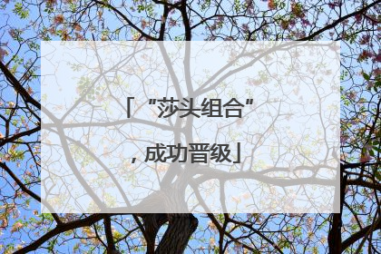 “莎头组合”，成功晋级