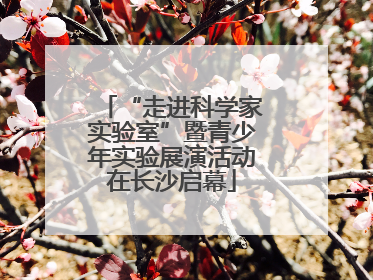 “走进科学家实验室”暨青少年实验展演活动在长沙启幕